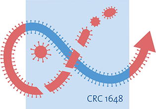 CRC 1648