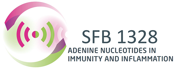 SFB 1328